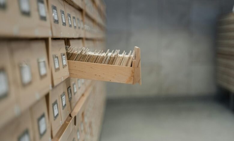 business systems intelligence assessment