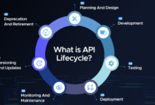 API Lifecycle Management